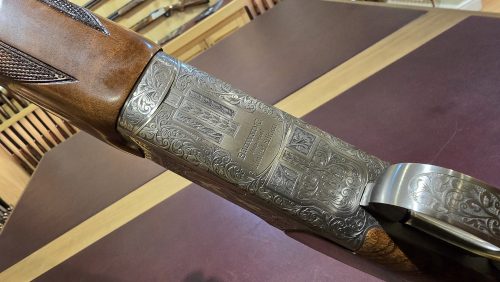 66f6152e-c40f-48f4-9200-ee424e959570