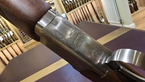 1c80903b-f55b-419c-8ccf-87bf9c92801f