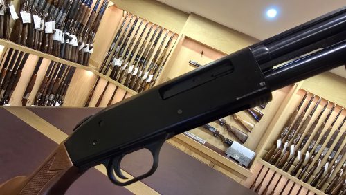 490bca9a-8d63-47d9-8531-88ce231dee62