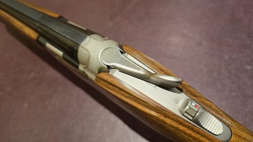 1b1b1c41-93b9-4da9-be69-e39f76a4ac0b