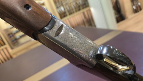 99e5d9d3-c003-47bd-a7e1-6b8664b73ad8