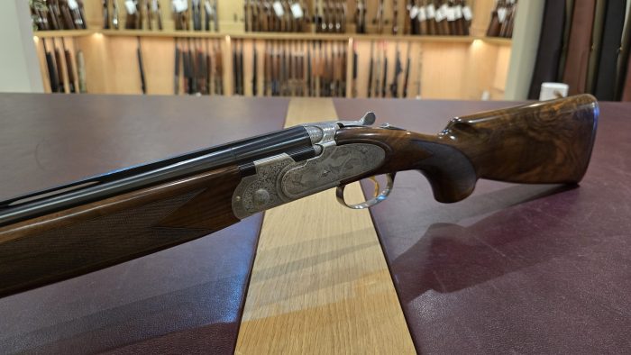 bdbff61b-b11b-4d49-ae36-8a02a3df92b1