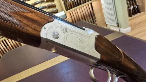 cc37462b-dbca-4c50-a589-ee5f2b2c7b5e