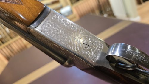 64848223-6437-46db-8762-6309a514d622