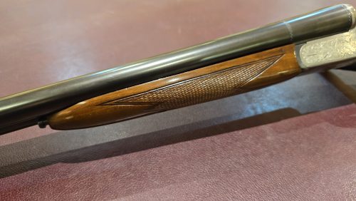 d0c0dff6-1036-46d6-b712-c20d10f77258