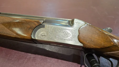 1c440eed-d6b2-4475-b1eb-0d8c4d208151