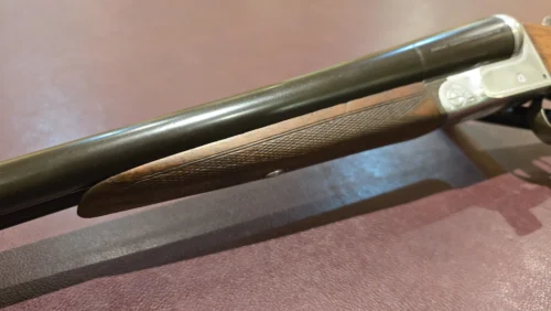 23e6d902-af12-497a-9481-3faaf1ad4e13