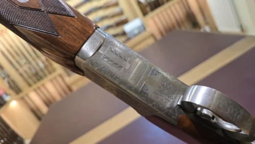 4dc5c196-80e5-4cc0-9590-889242776018