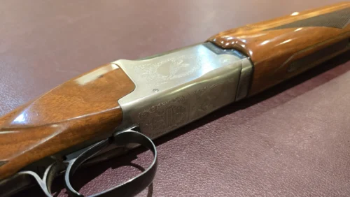 6701466b-b141-4e37-81c2-a3c7b0426917