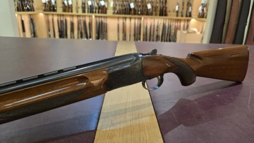 73d4168d-8269-4967-9205-d005764e99ee