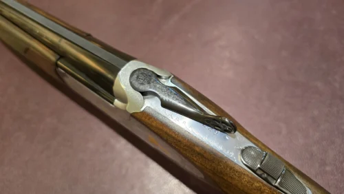 74b12a12-b5f9-42e1-9f11-b61b4aaf6526