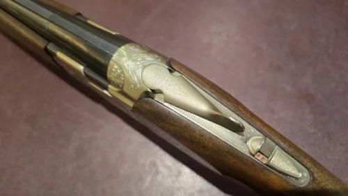 907fc839-fa1e-4ce2-a283-e210878623b0