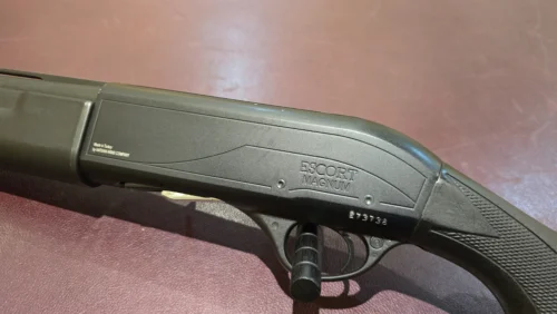 dc80878a-d8f9-4a8e-b240-56132216ae5e