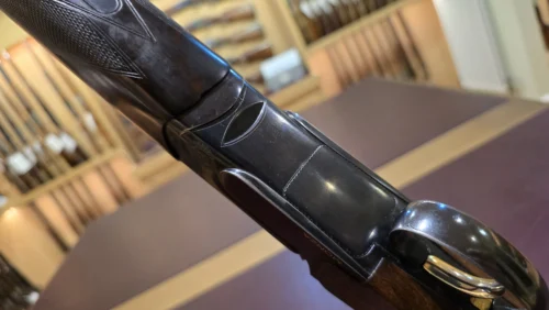 184a5493-82db-47b7-b554-18393507c781