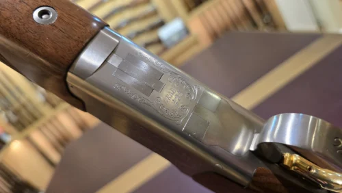 1d3b875c-0d17-4cb5-9a8a-582f8819a9df