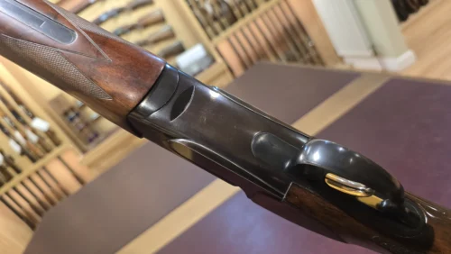 5174ad1e-5534-4adb-8074-aeac0d0666f1