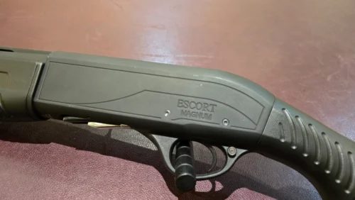 569a8612-b93d-4b82-9c79-25c9eceae136