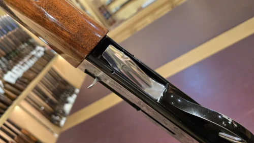 8ddbde6d-5b60-46a3-a957-3cd7bc0e5e4c