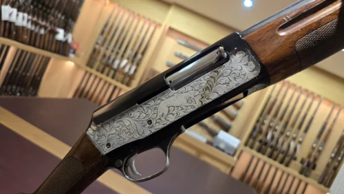 96dc90a5-2f47-495f-920c-31b66cba59e1