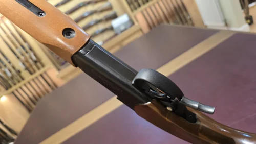 ce8ecfe1-0204-4bc3-9ae6-29240cf66922