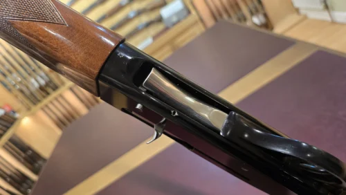 cea81502-6e1f-407c-abaf-36b420c47611