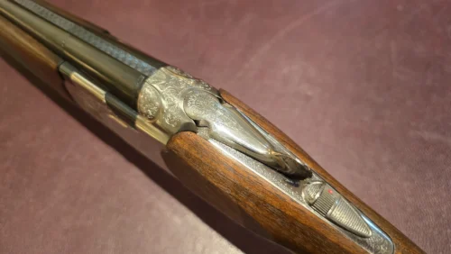 d841cd56-7d9f-438d-98b7-ff0b676ce461