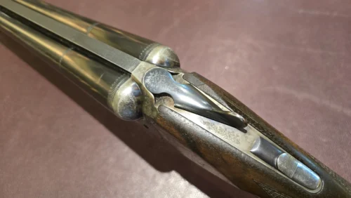 e5072ee7-24e9-4c66-a950-3cc2dc2a5b7c