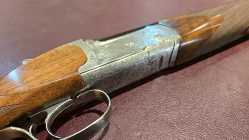 11b96c54-8324-4c00-b70d-e1ceded94ff4