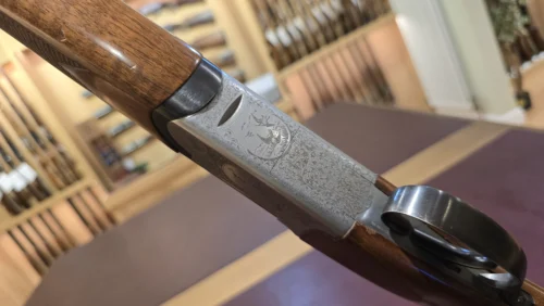 468a795b-13d9-4929-92e7-416ceff22483