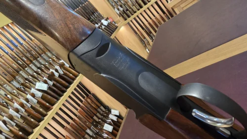 037e9176-8331-49ea-9654-589c6139e510