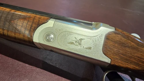 1a99dfc7-06fc-4938-b6a8-c1f364560f0b