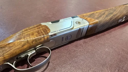 1cfe17e5-03ef-4d56-9a71-e9e874da9033