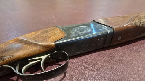 cbc5546c-9905-4e2f-b3e6-15a8b91ce489