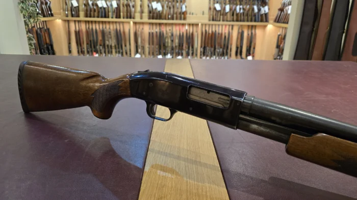 e557cff5-420e-4fa9-8a36-ab0c0f95f47f