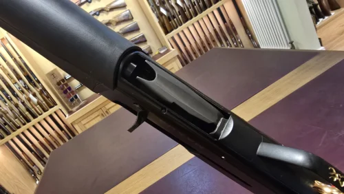 f2396738-4c1b-47dc-9963-c8db8e28d452